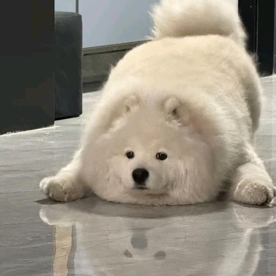 煮个泡面 .