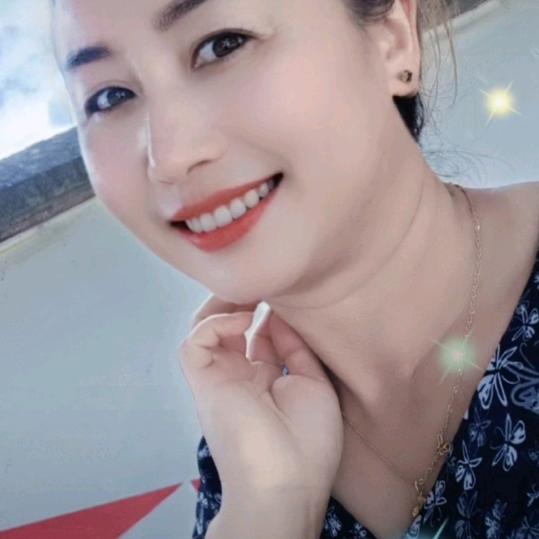 冬菊