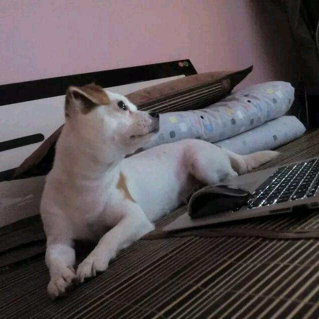 清泉