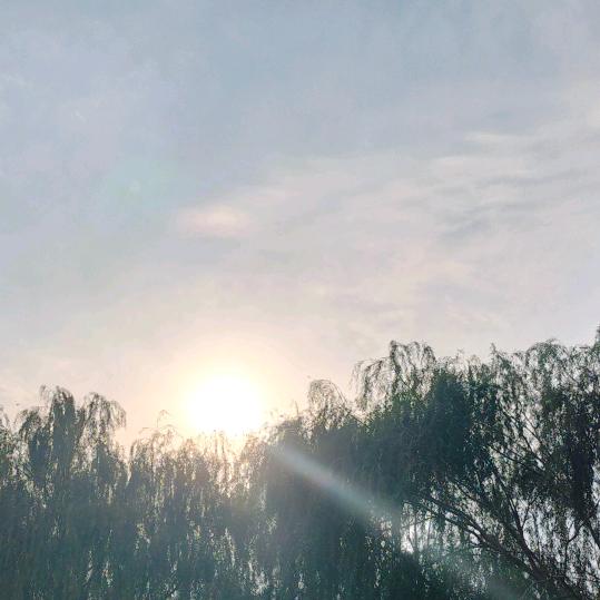 林间人生在旅途