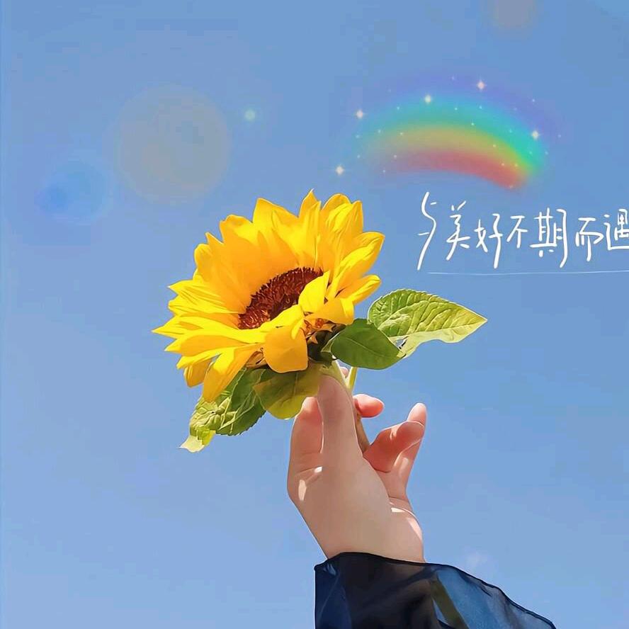 我不叫怼怼