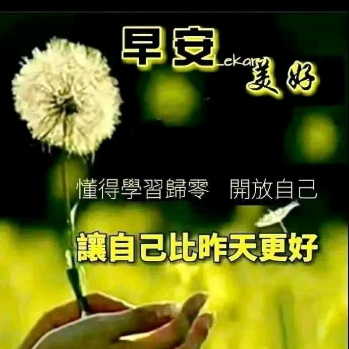别动情会伤心