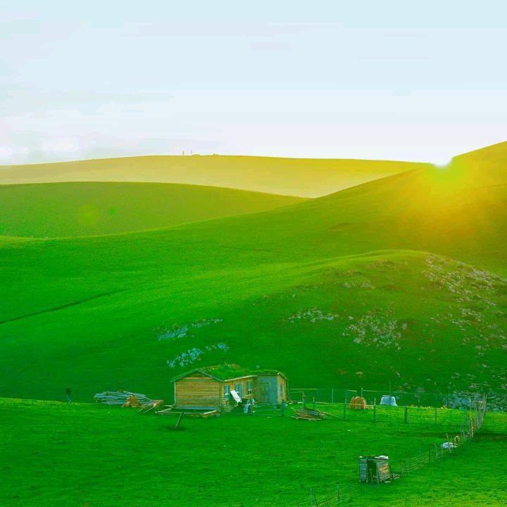 袁丽（想有个家）