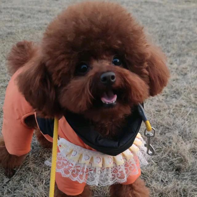 嘻嘻哈哈的一天