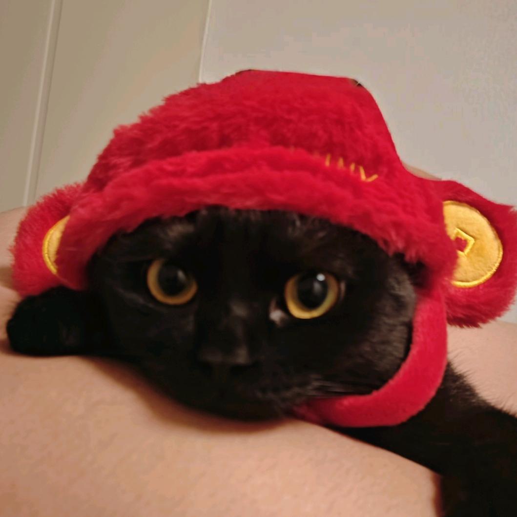 🌈不羁的夏（见过鹿晗两次版）