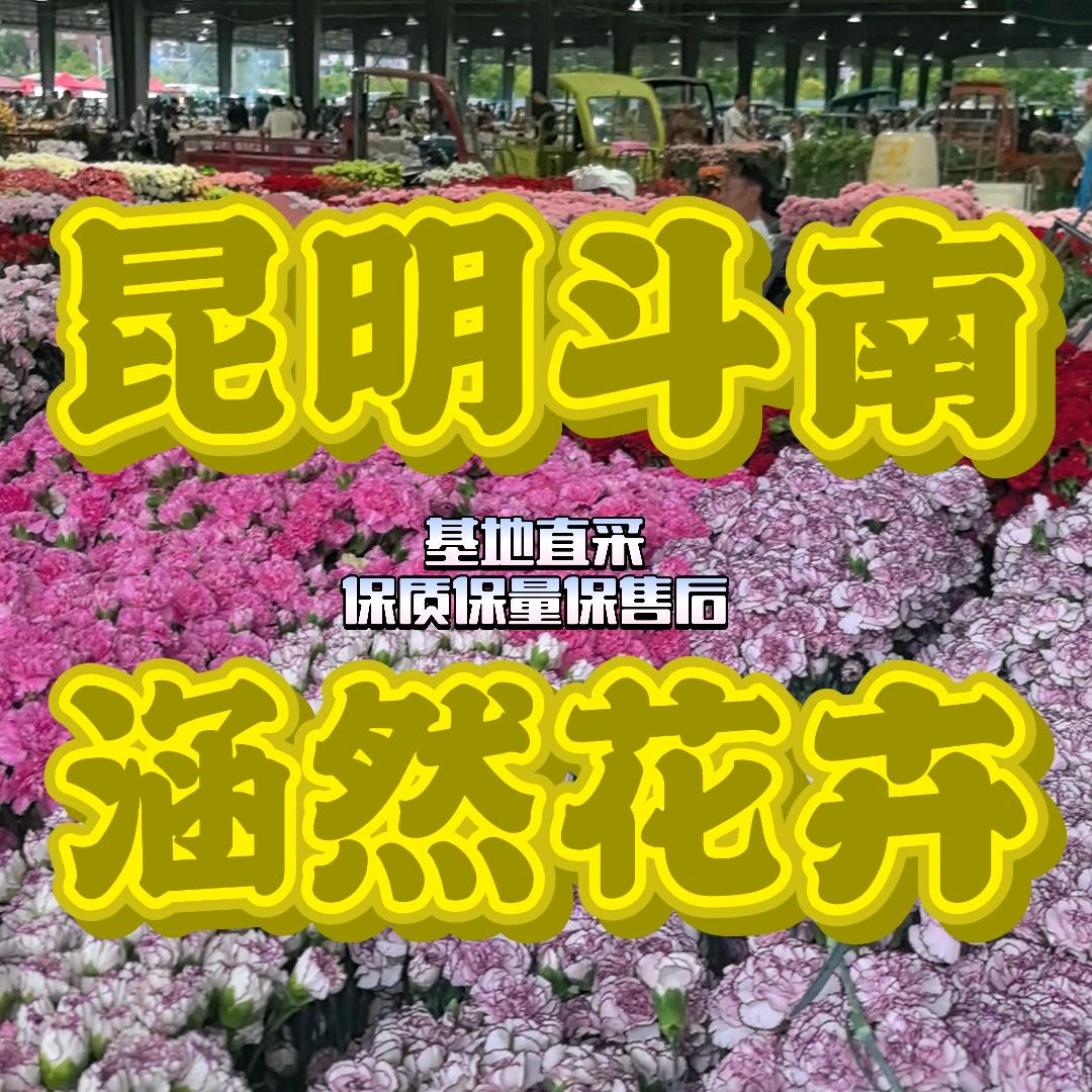 斗南涵然花卉