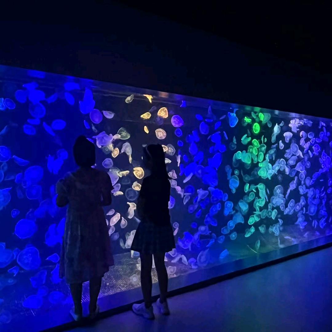 琪琪妈妈好物分享