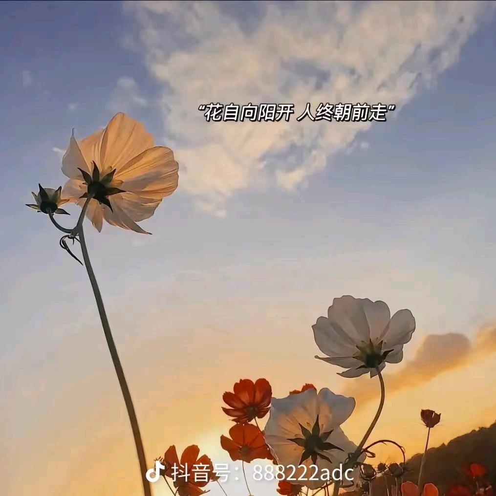 美丽的女人（红霞）