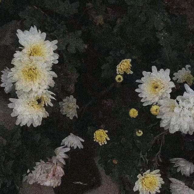 WWMFWBDCWYNNSH