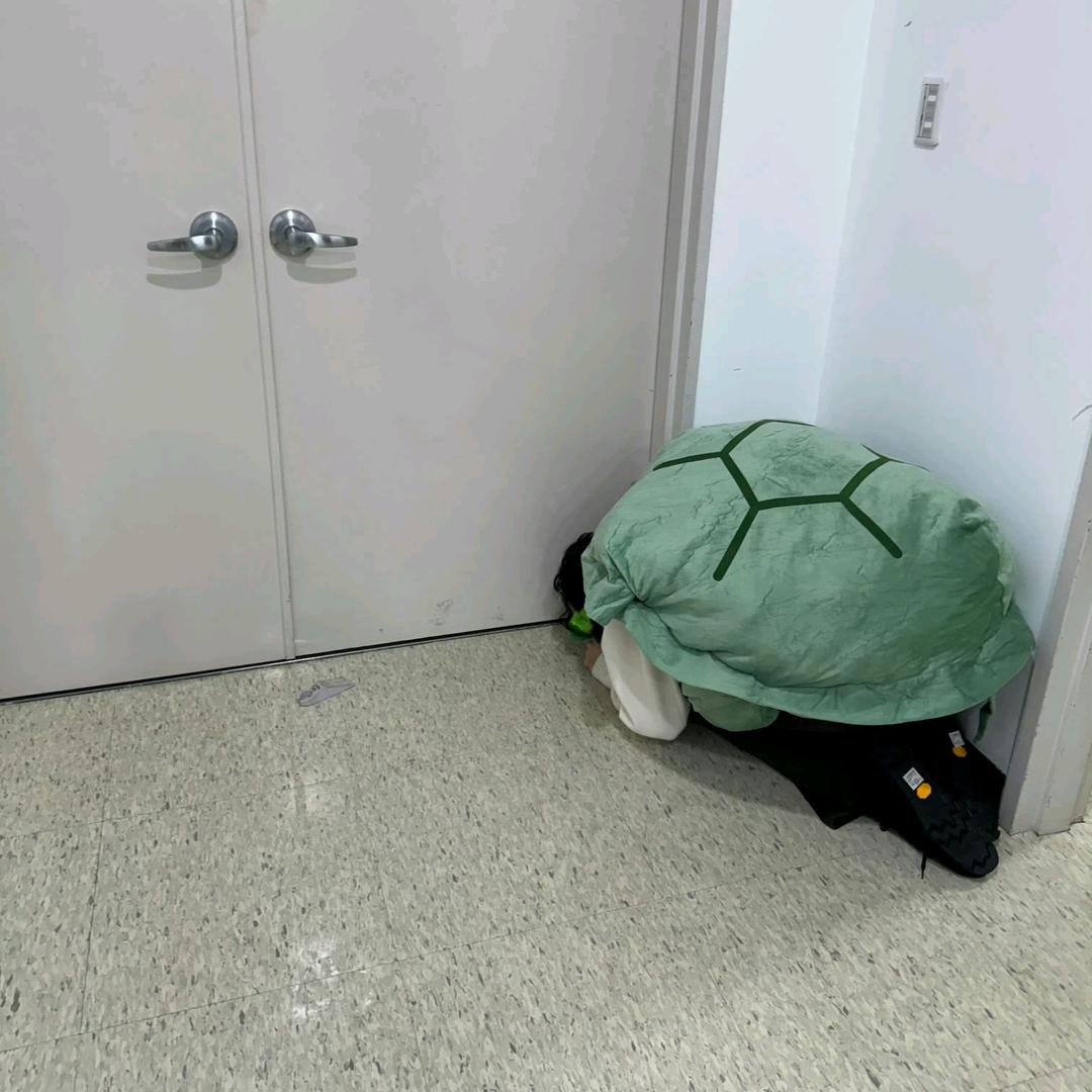 ✨村头在逃公主✨