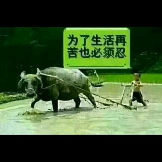 沧海优选