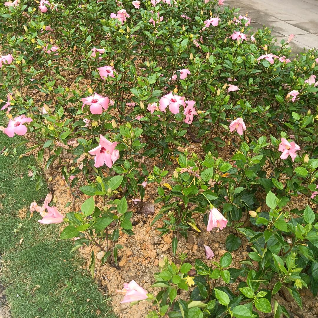 雨中漫步