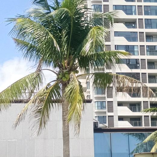 不和狗一般见识