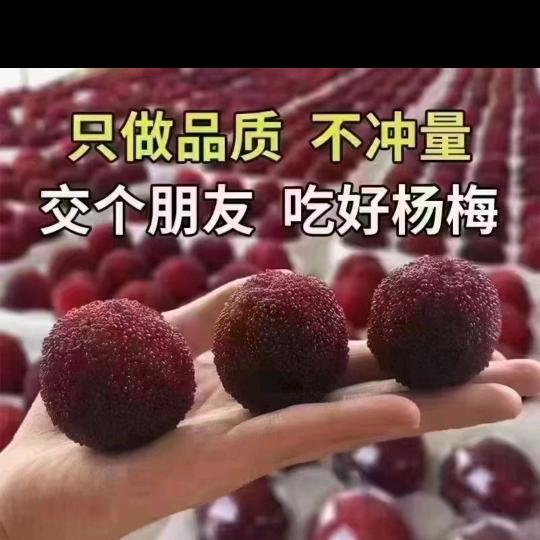 天台运行中心…