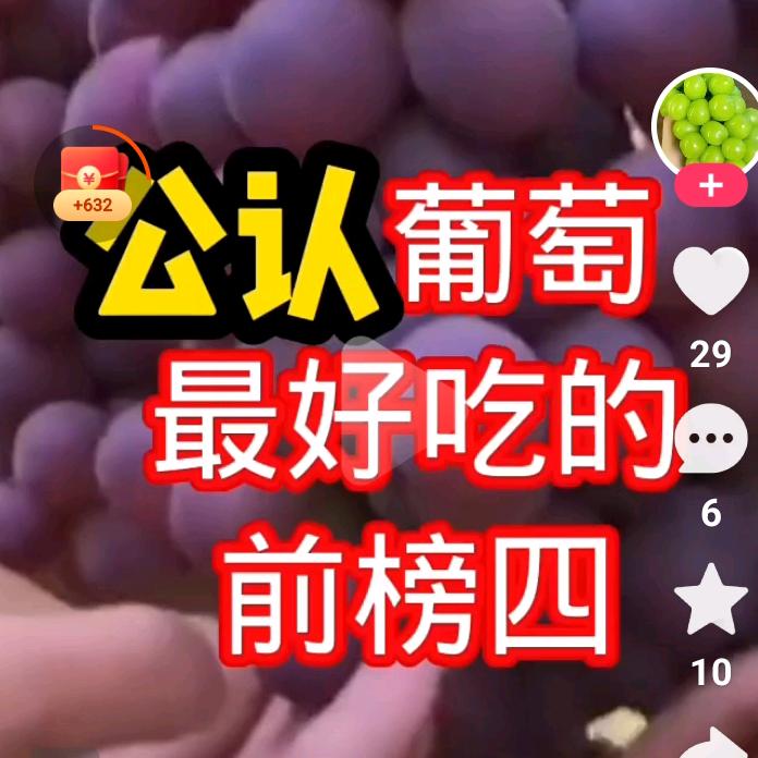 31号葡萄家庭农场