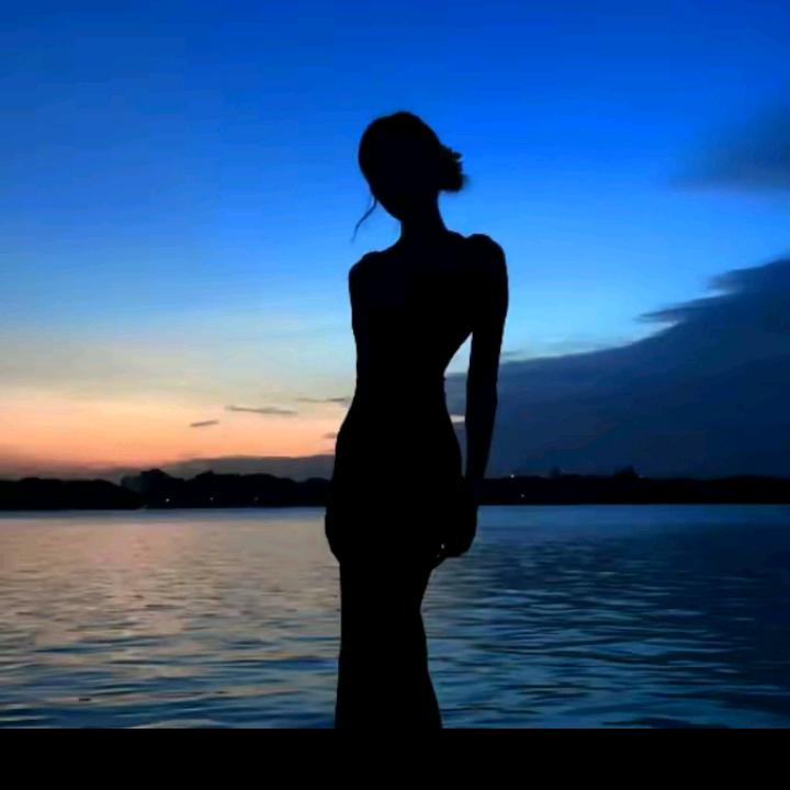 不见花🌹海