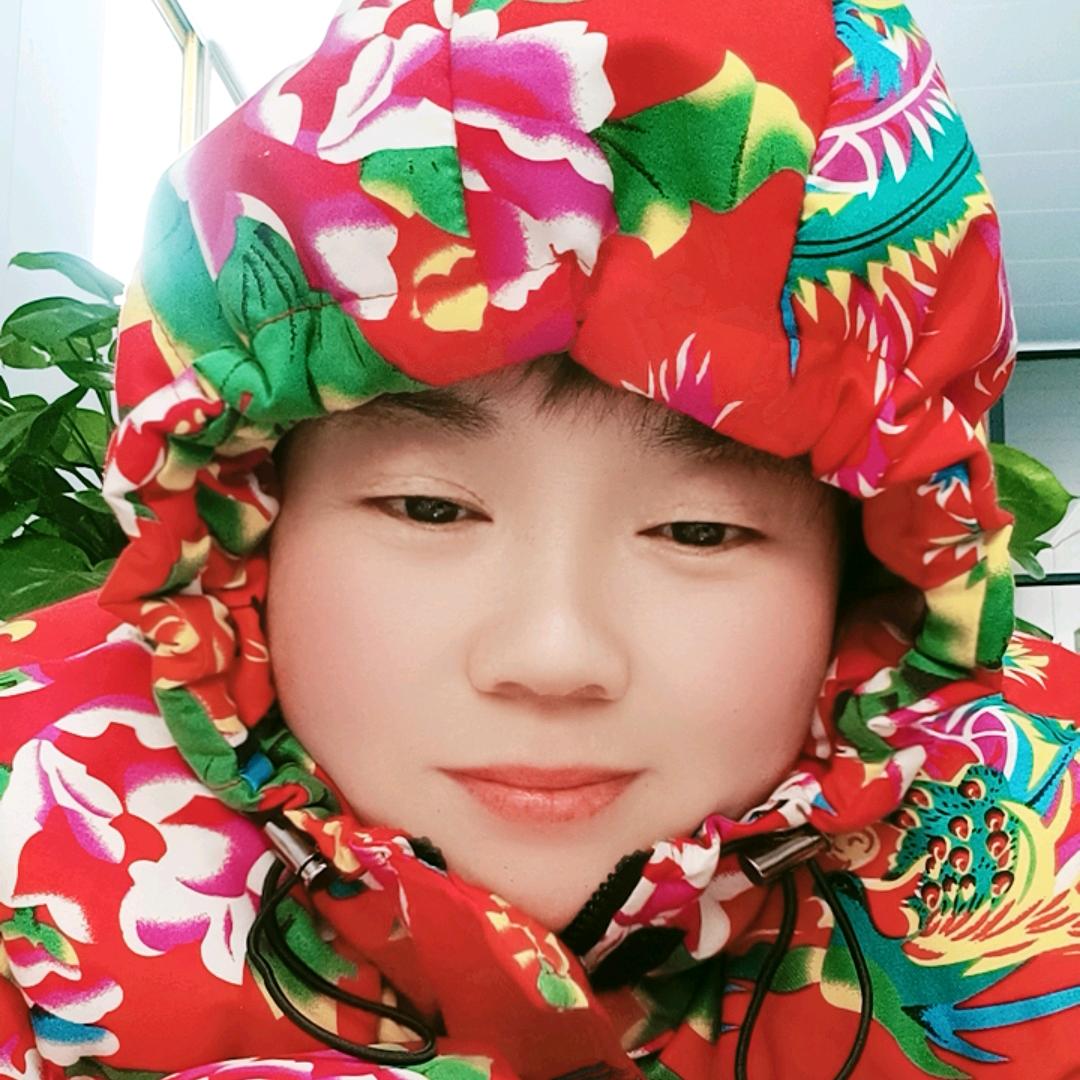 没有翅膀的小鸟