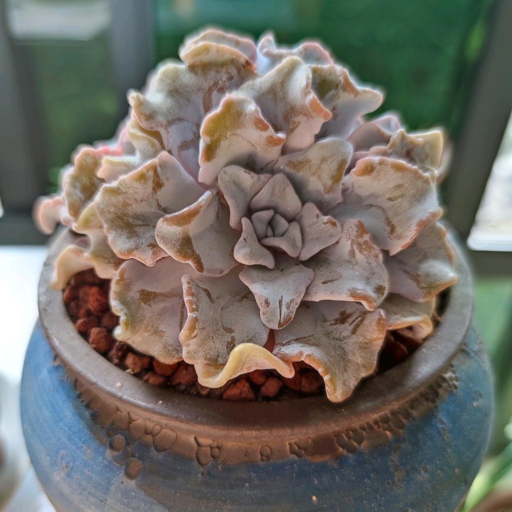 ❤️🌈秋韵🌈❤️