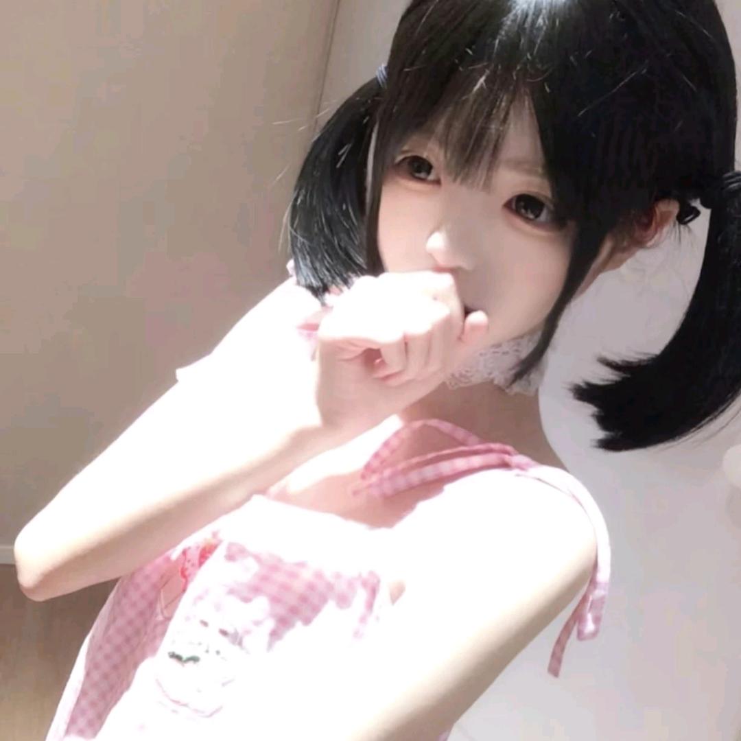 小遥萌喵（流浪猫版）