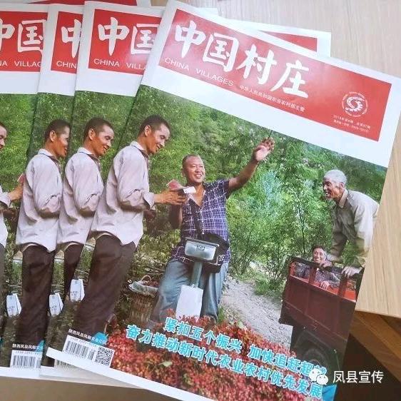 四川阆椒农业秦岭山土蜂蜜