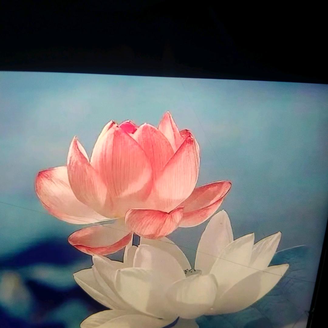 无语凝烟