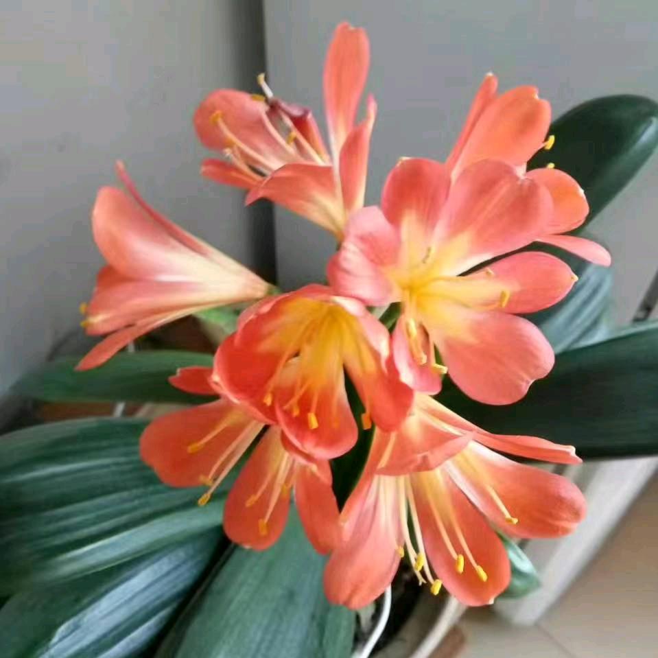 晴天