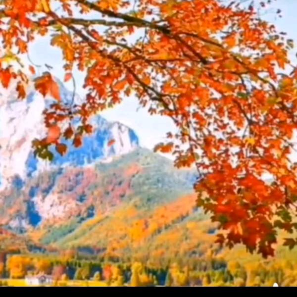 JlNG静姐（拒绝私聊）