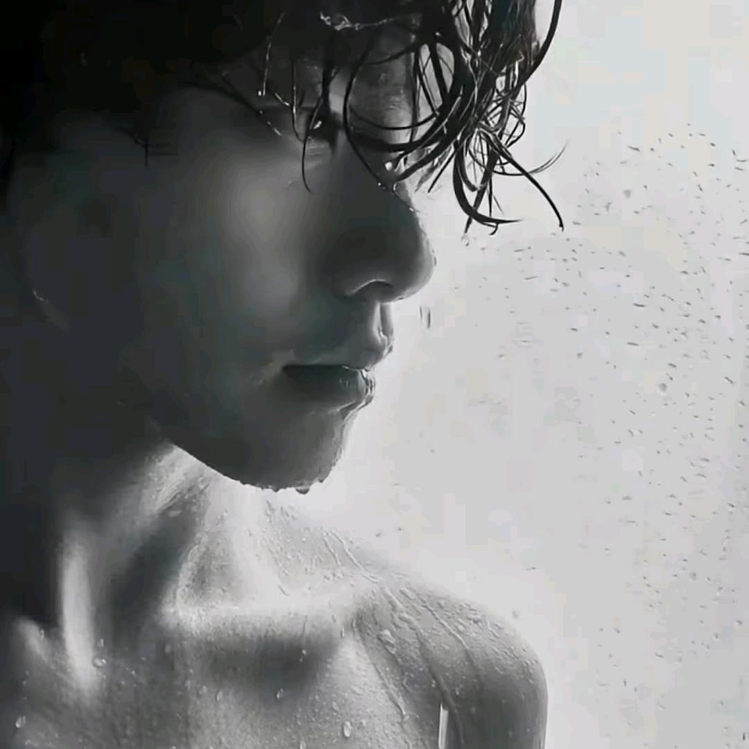 梨.