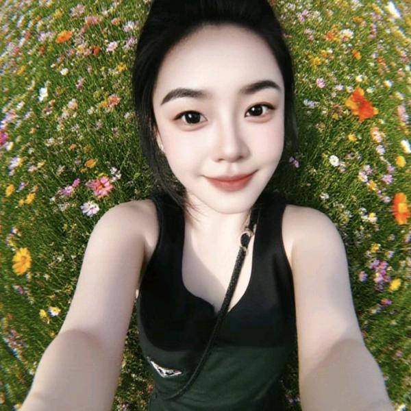 2025（减肥版）加油鸭