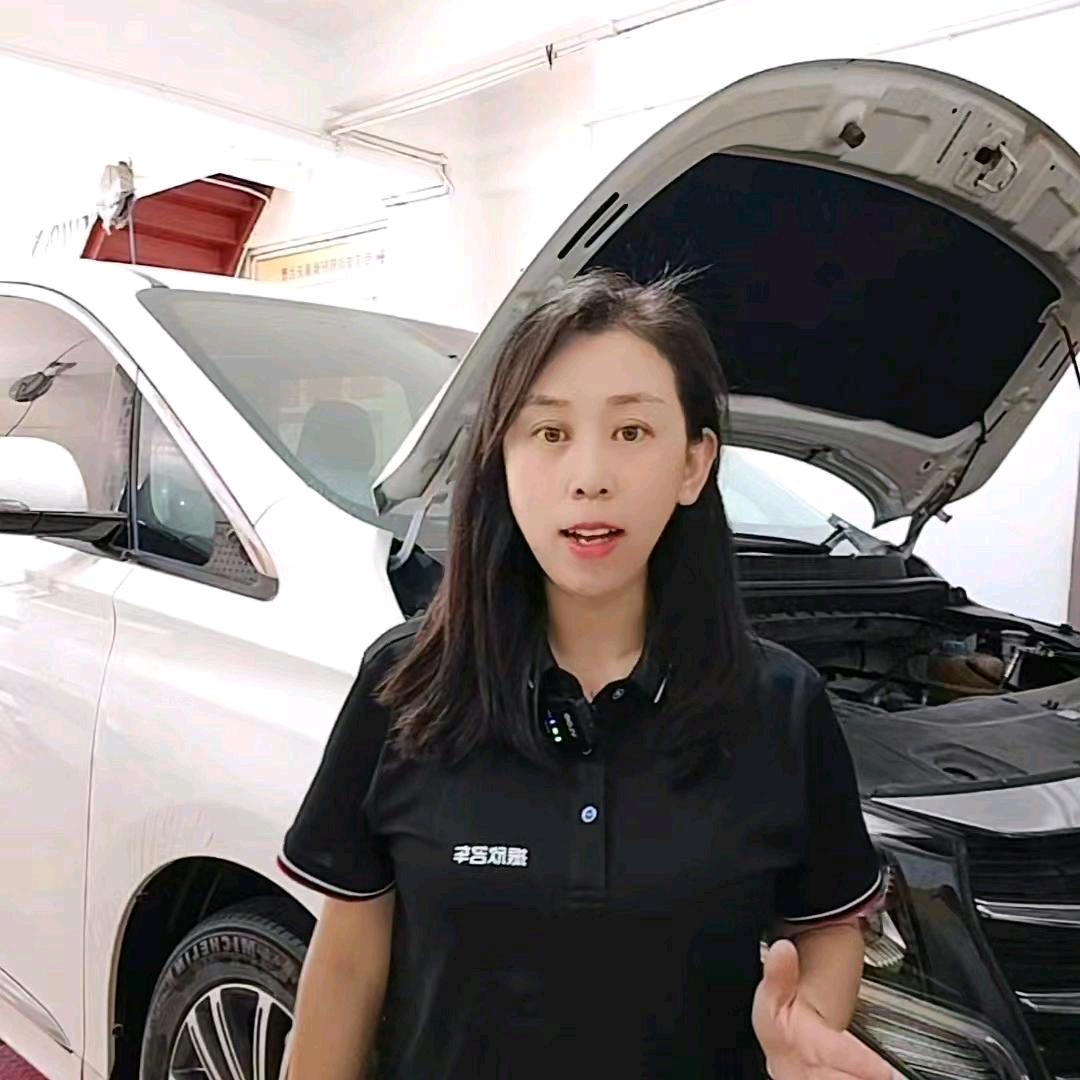振欣养车   可可