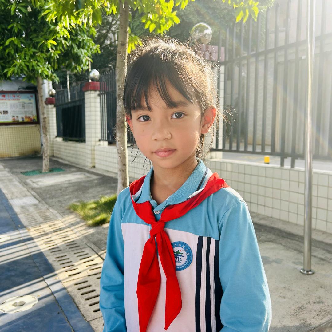 随心┐(¯ヘ¯)┌