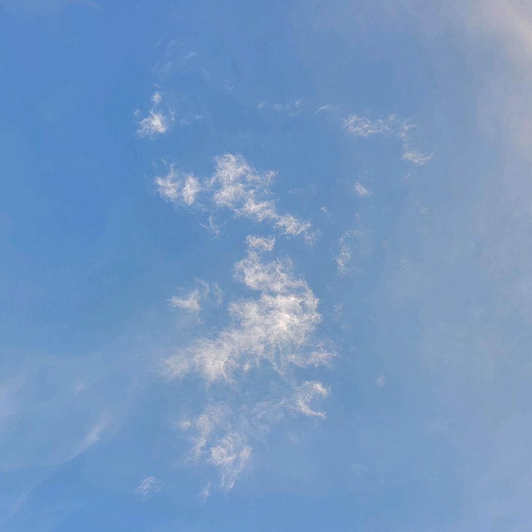 一半的一半是四分之一