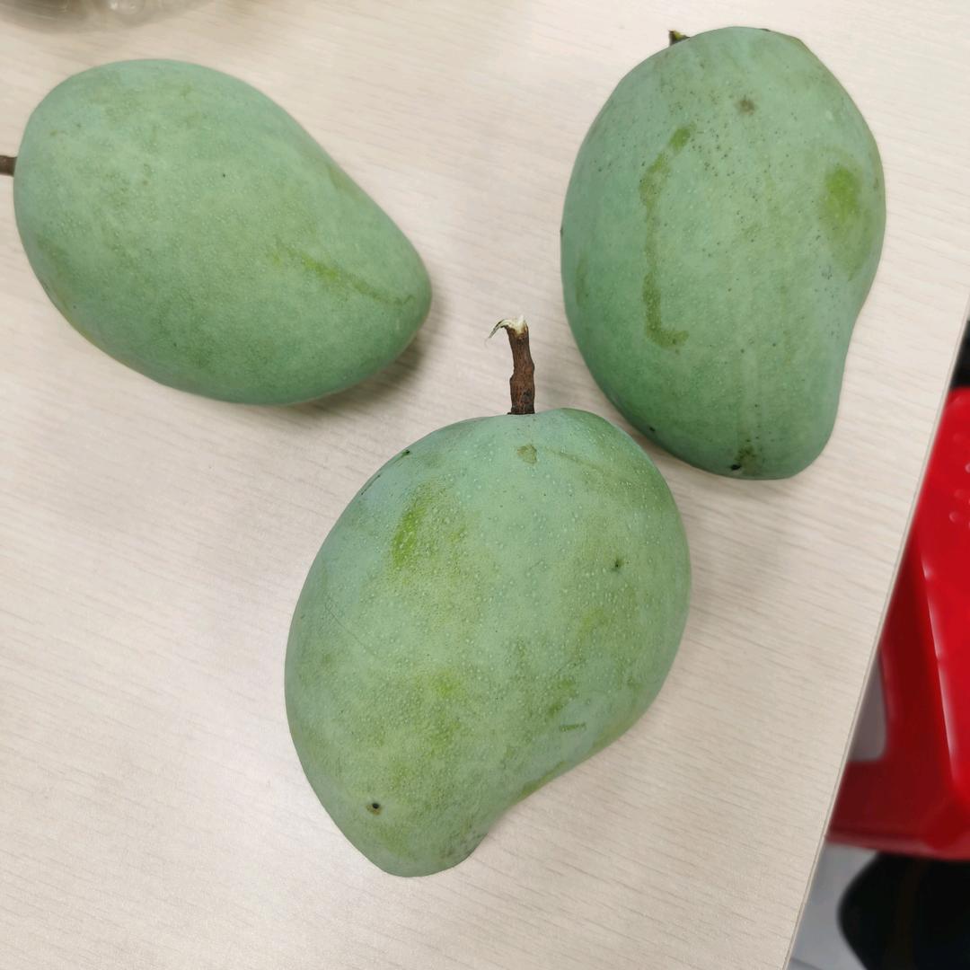 趁岁月还在