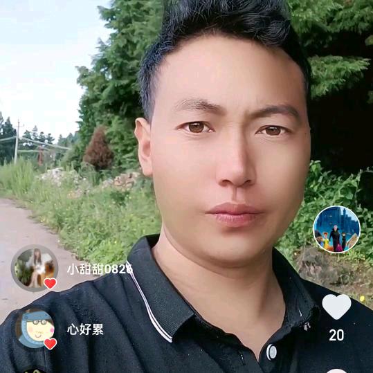 老杨在农村