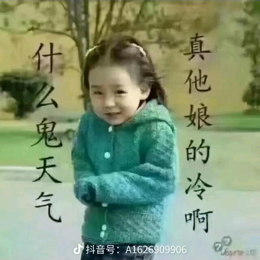 老早做茶叶
