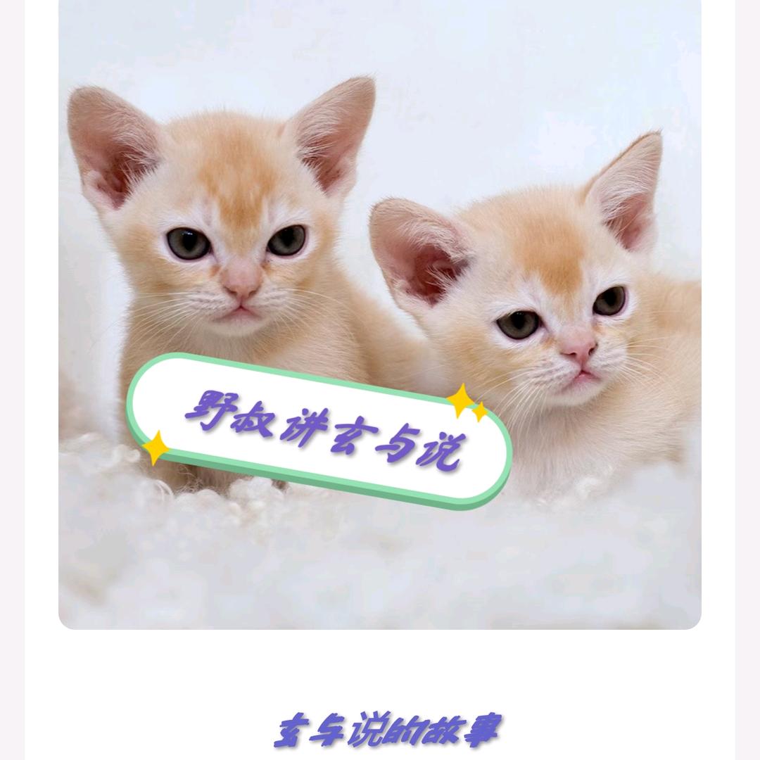 野叔讲故事(玄)