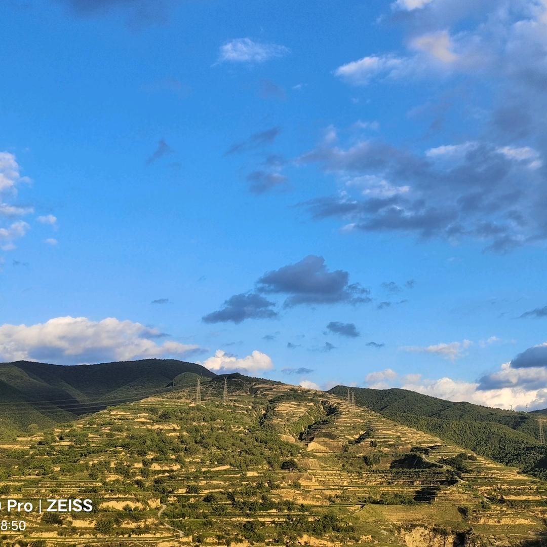 ღ᭄ꦿ࿐麻醉回忆