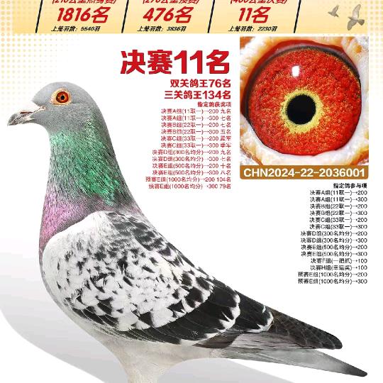 川乐机械:张川