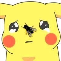 💭 🪳梅川库子 🪳 💭