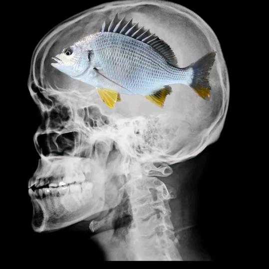 ໑ຼ             喜