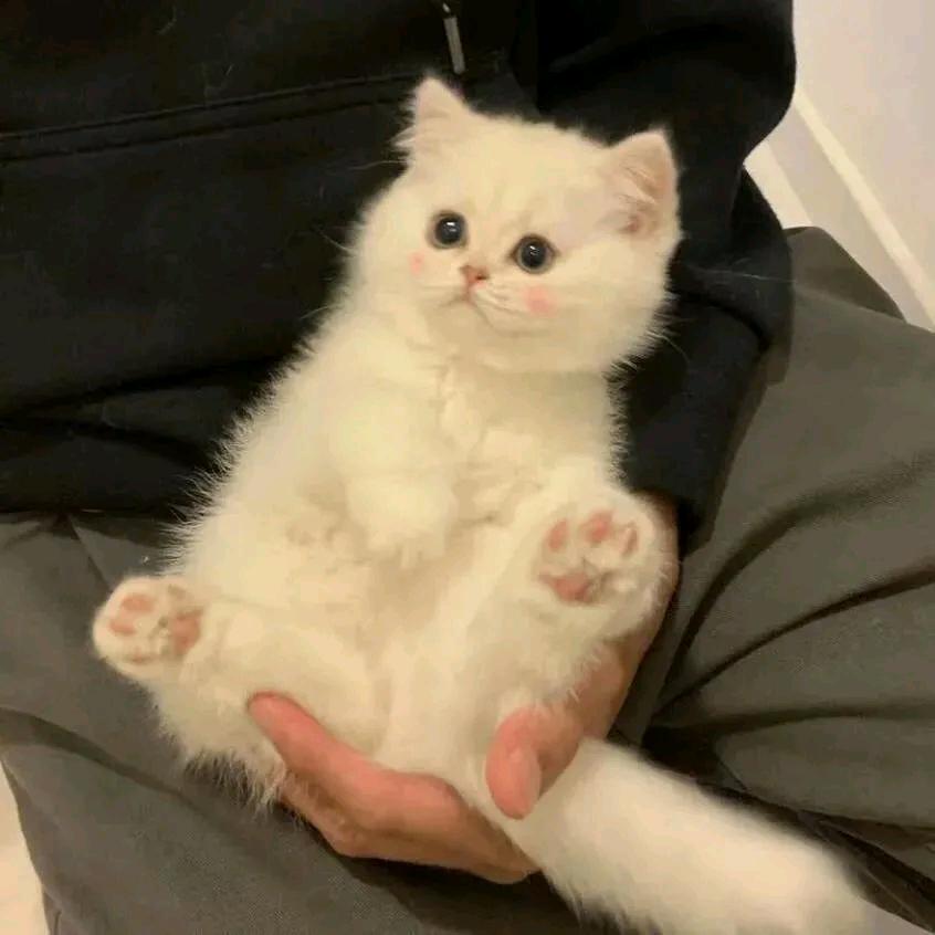 你的小宝贝❤️