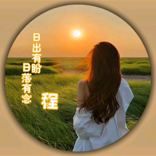 🥀风雨🌿兼程‍✨