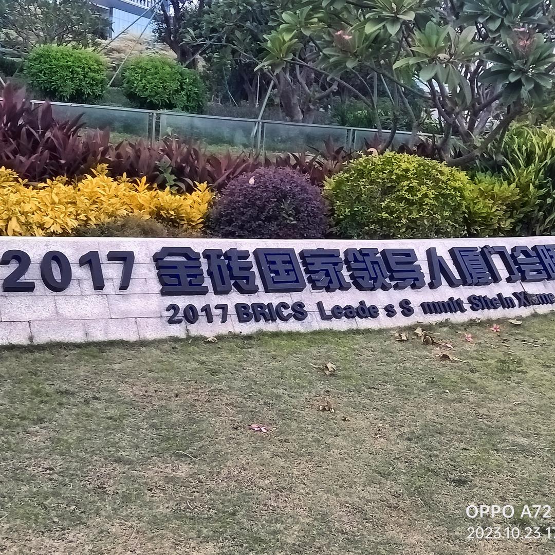余生我陪你