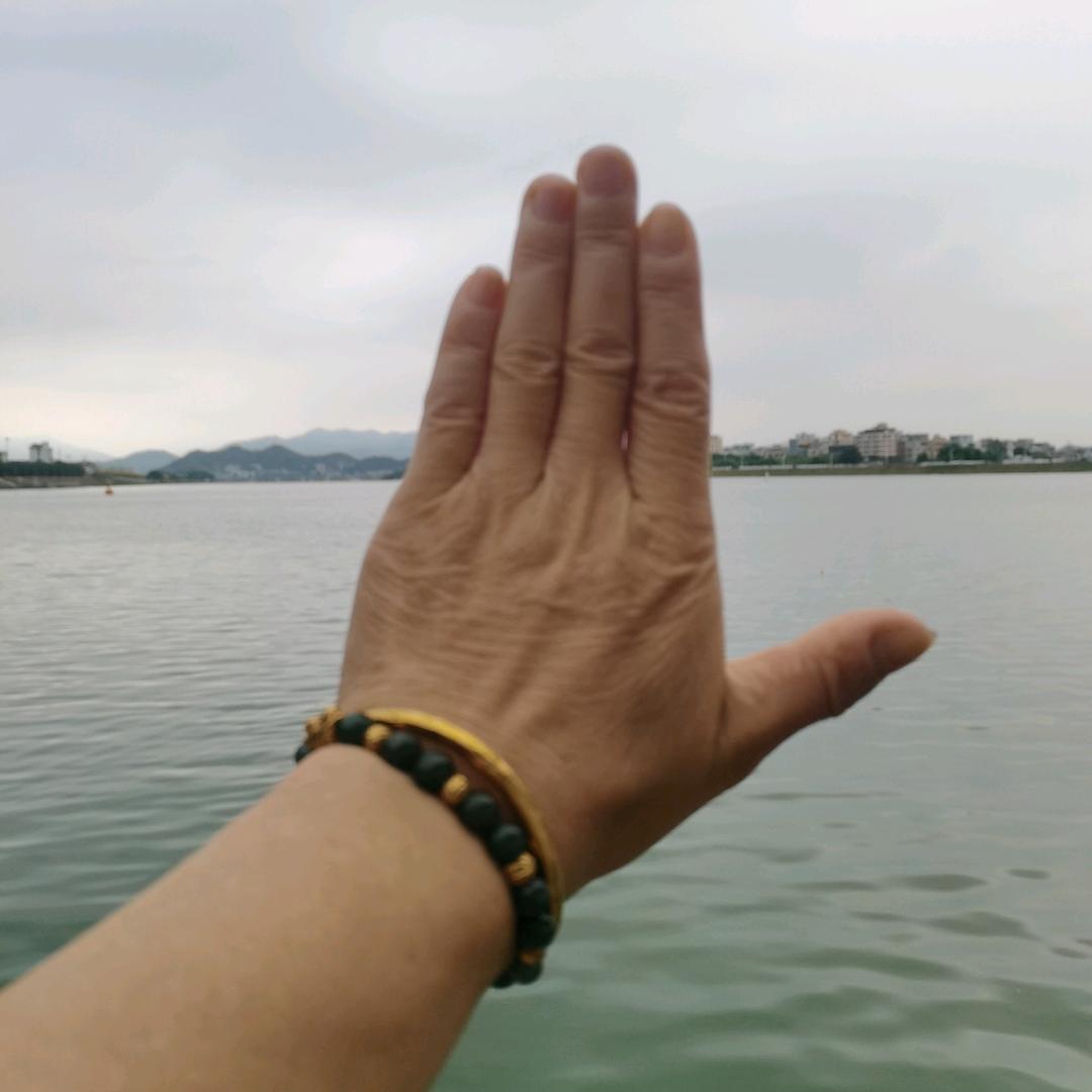 简简丹丹