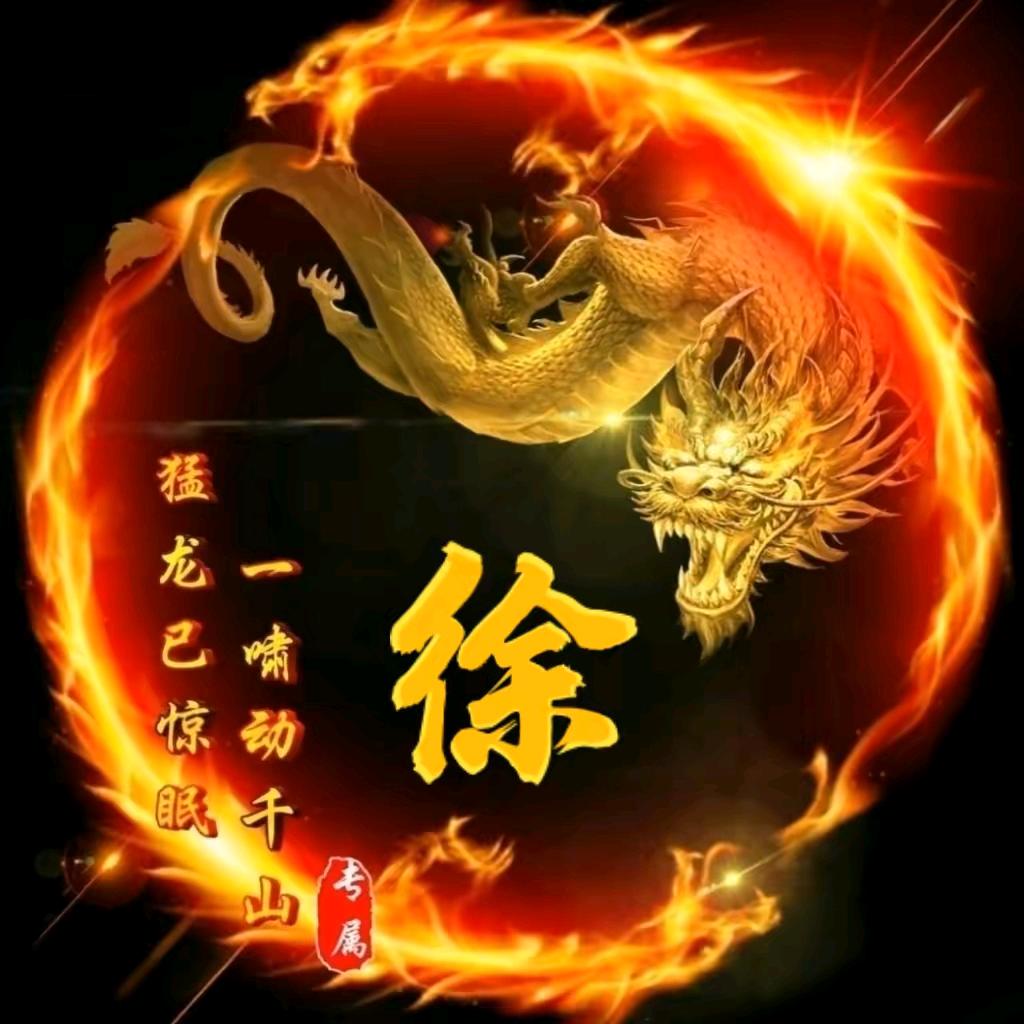 莎车家成农机
