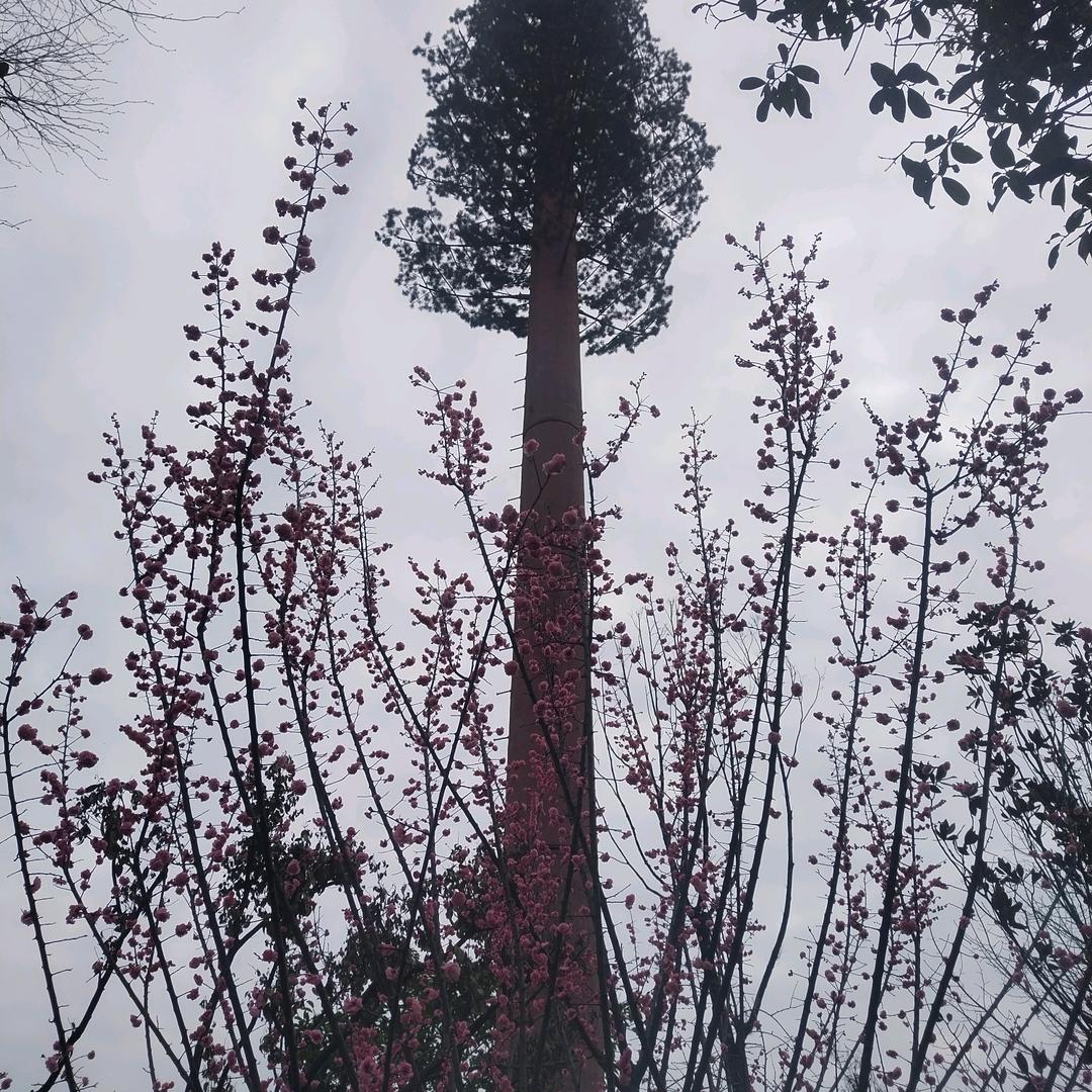 曹建国