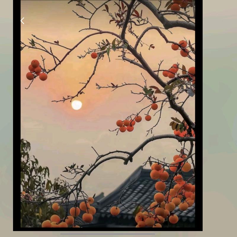 逍遥游(自驾去内蒙)