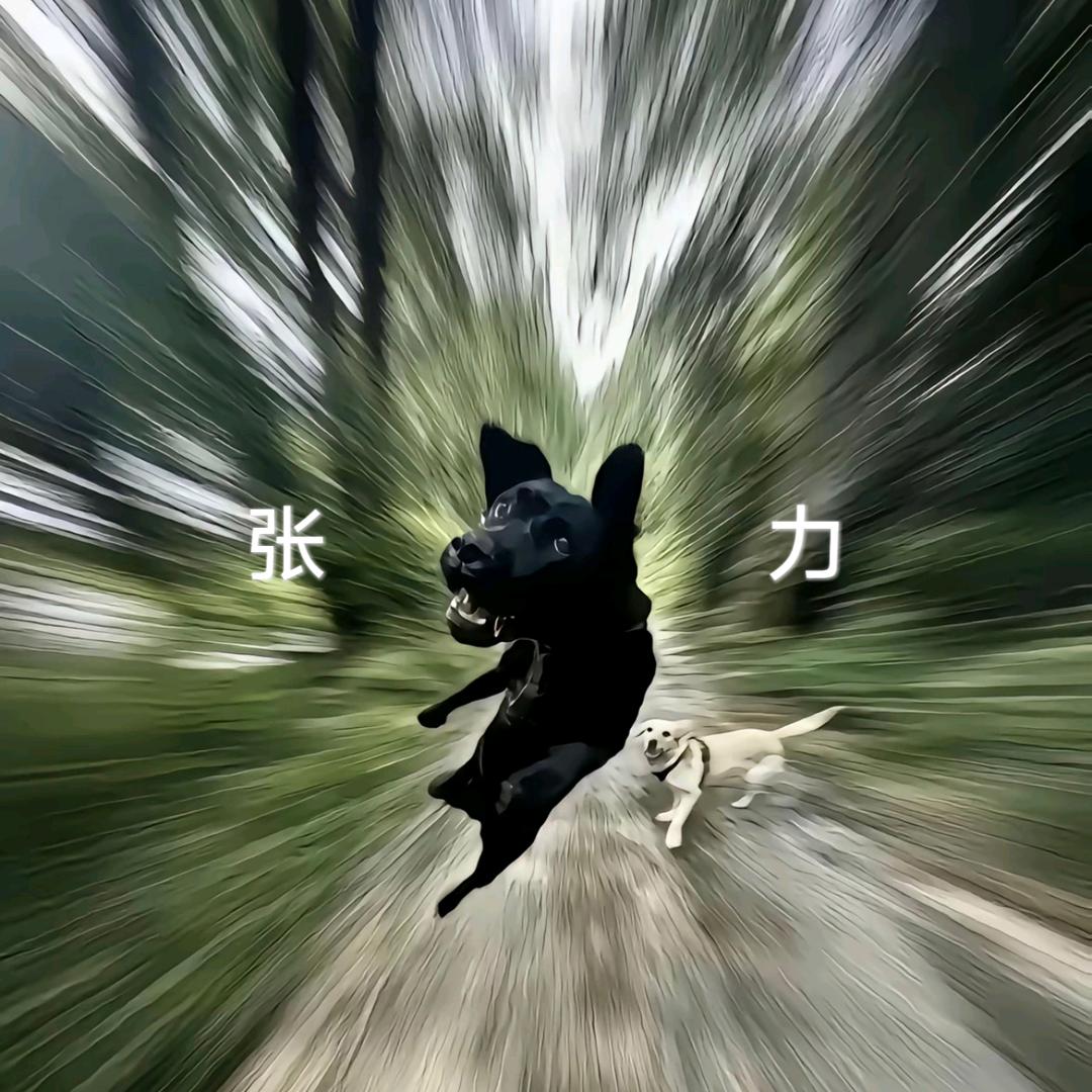123