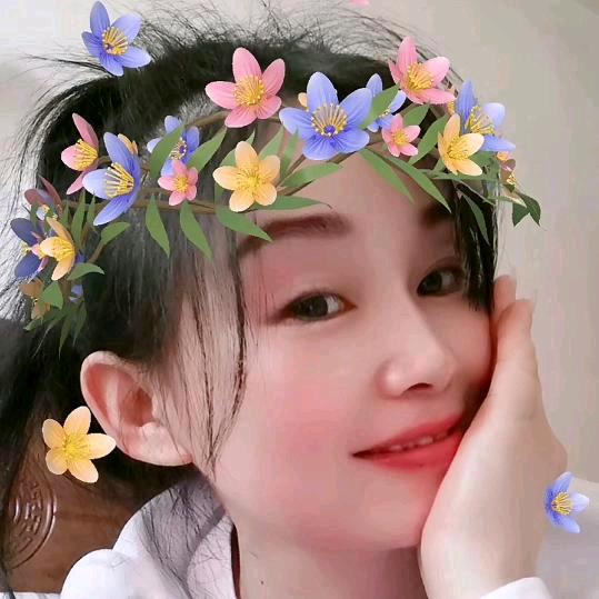 🌸福运莲香🌸拒私聊