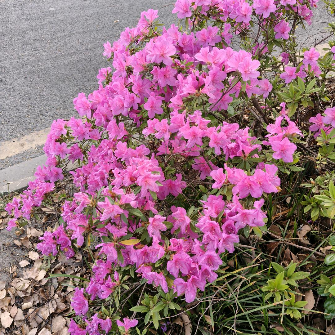 回不去的 又何止是时间